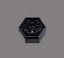 chitocerium XXII3.webp