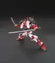Sengoku Astray Gundam1 HG.webp