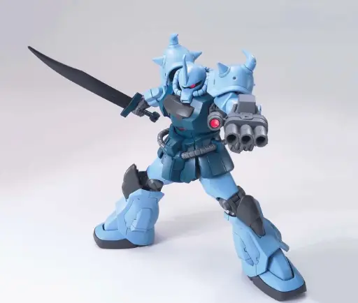 HG Gouf Custom